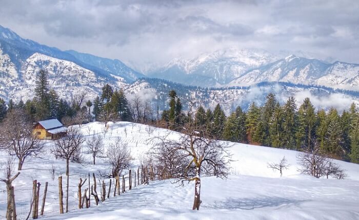 Honeymoon in January-Shimla