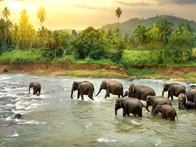 kerala-honeymoon-packages-from-delhi-4nights-5days