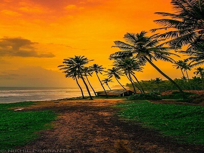 kerala-honeymoon-packages-from-delhi-5nights-6days