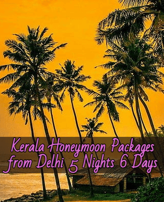 kerala-honeymoon-packages-from-delhi-5nights-6days