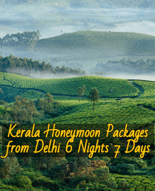 kerala-honeymoon-packages-from-delhi-6nights-7days