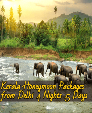 kerala-honeymoon-tour-packages-from-delhi-4nights-5days