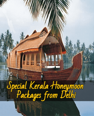 special-kerala-honeymoon-packages-from-delhi